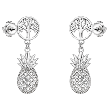 Ατσάλινα σκουλαρίκια