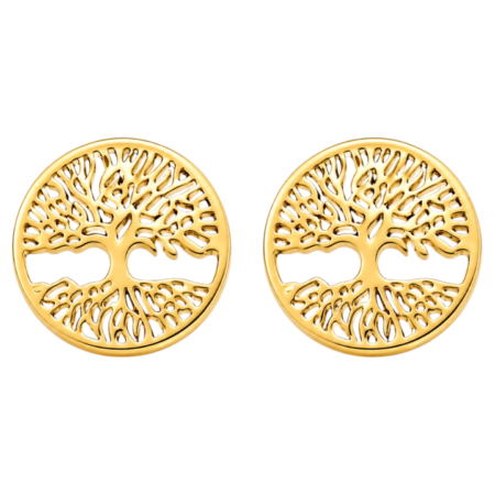 Ατσάλινα σκουλαρίκια