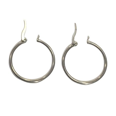Stainless steel earrings