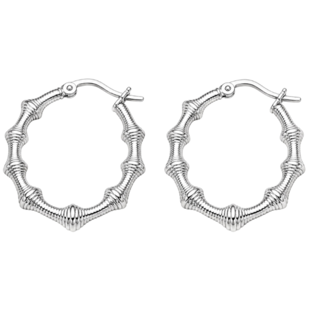 Ατσάλινα σκουλαρίκια