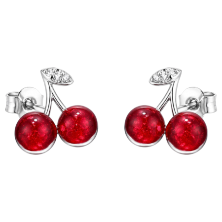 Ατσάλινα σκουλαρίκια